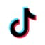 TikTok Ads